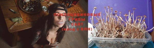 не бодяженный Ахтубинск