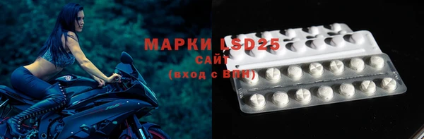 гашик Новозыбков