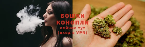 индика Нефтекумск