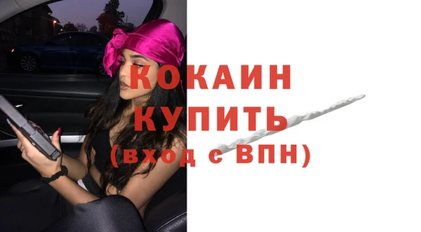 гашик Новозыбков