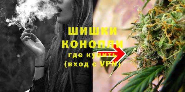 индика Нефтекумск