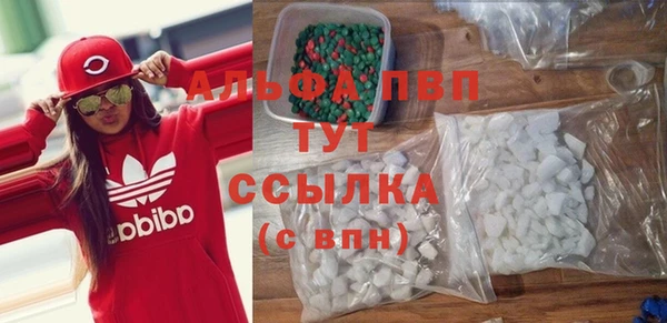 гашик Новозыбков