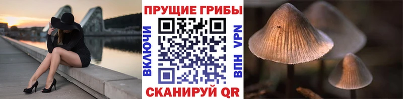 Галлюциногенные грибы прущие грибы  Саров 