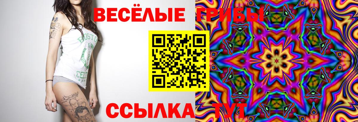 Галлюциногенные грибы ЛСД Саров